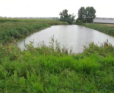 van de EHS (in aansluiting op de passage bij locatie 1) zal hier mogelijk verandering in brengen. 3.2.