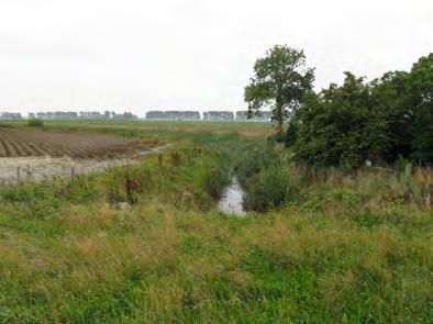 Aan de noordkant ligt een begraafplaats en een natuurgebied van Staatsbosbeheer met enkele poelen.