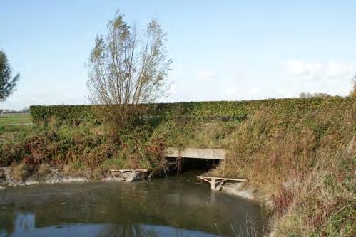 Zowel aan de noord- als zuidzijde van de N675 bestaat het omliggende landschap uit agrarische percelen. De oeverzone is relatief smal met een steil talud.