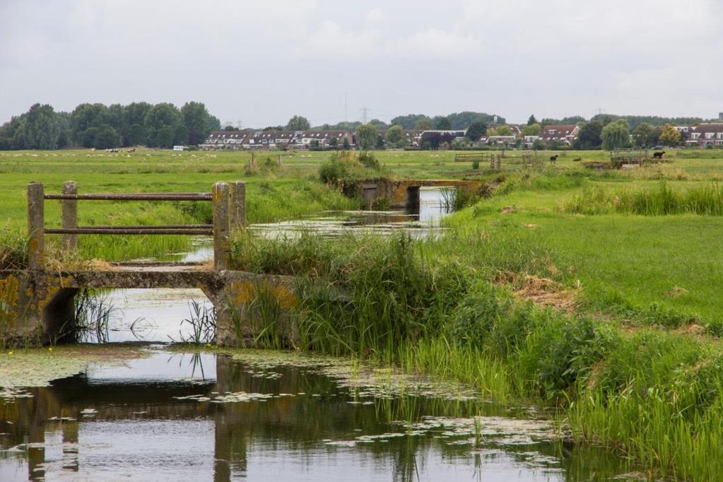 Polder Oost vastgesteld door het