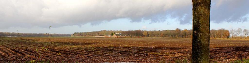 De afstand tot het plangebied is dan vrij fors, het ten noordoosten gelegen bos en de beplanting langs de