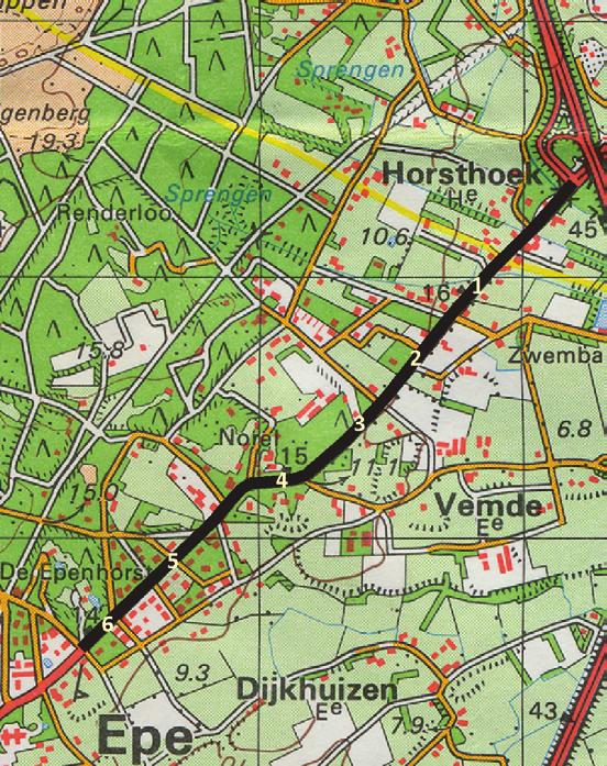 HET BOMEN- EN HEESTERBESTAND De meeste bomen langs de N794 staan in een smalle groenstroken langs de fietspaden die