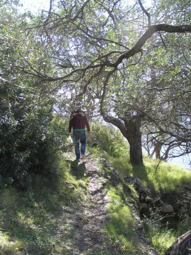 We hebben ook een leuke accommodatie voor een strandverlenging in Boukari Beach. Ook kun je op Corfu fietsen huren. Voor al deze opties: vraag een offerte.