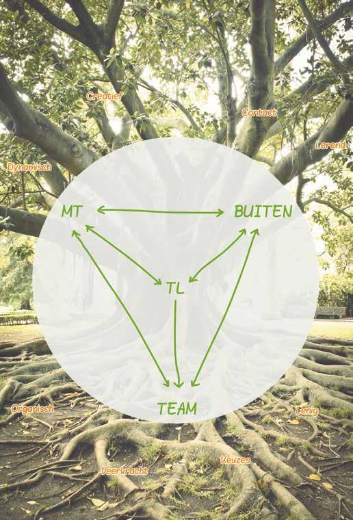 van de teamleiders die het hele traject hebben doorlopen (11 teamleiders van Groenhorst, 8 teamleiders van Lentiz en 1 teamleider van Nordwin).