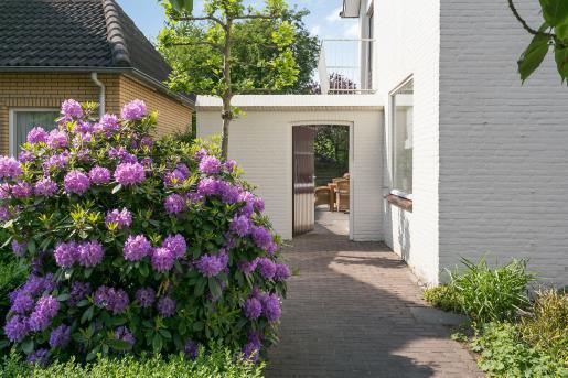 Achtertuin onder architectuur