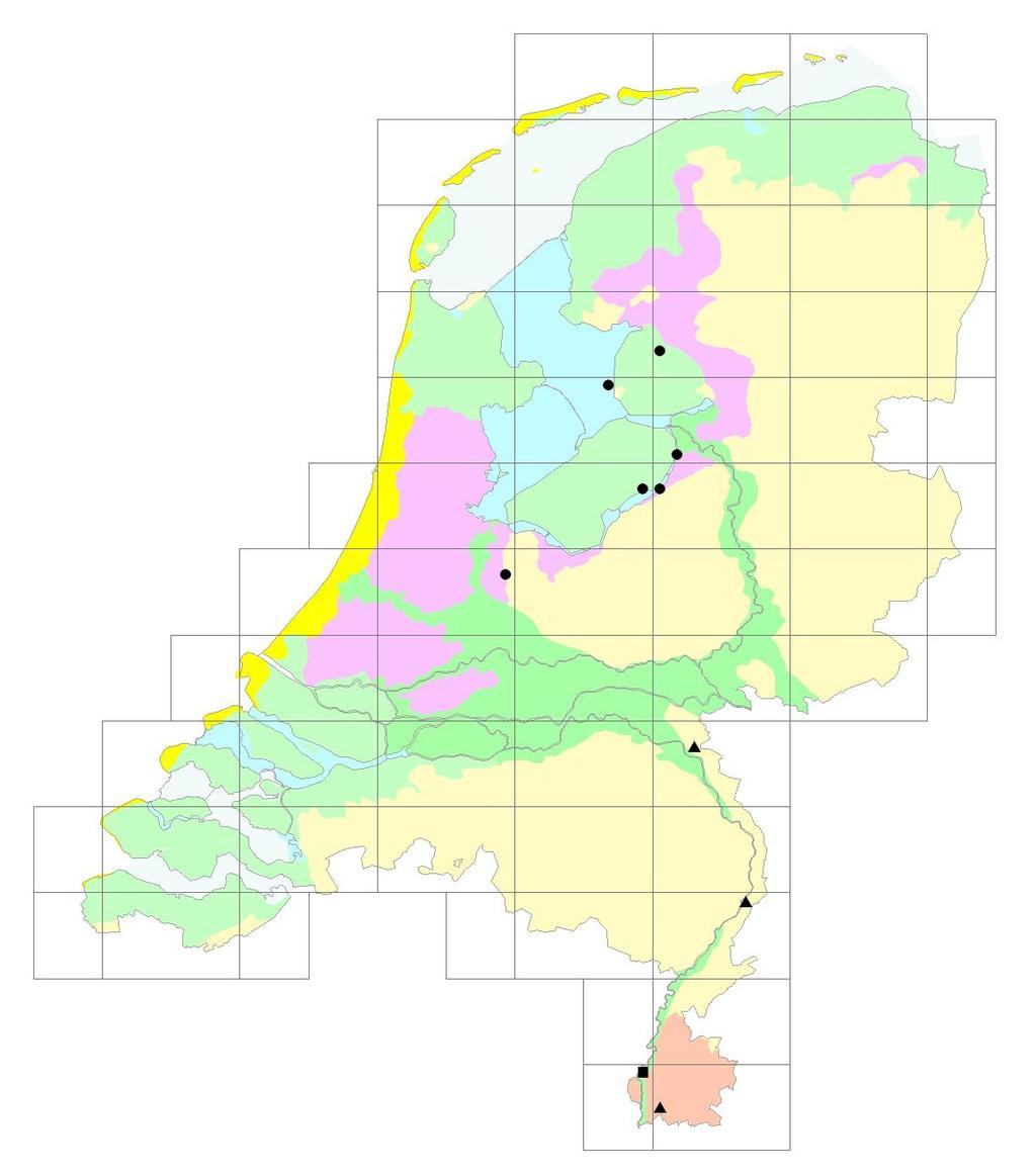 echtplassengebied verscheen het mos in een contactmilieu van veen en zand (Greven 1976), bij Urk op keileem, in het Kuinderbos in een veenafbraakgebied (Bremer 1979, 1999) en in Oostelijk Flevoland
