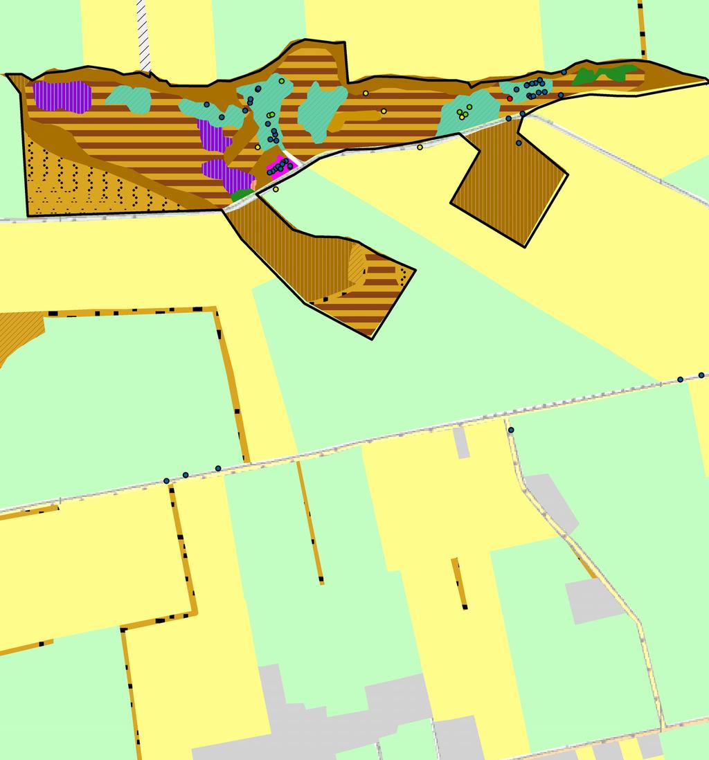 Discussie an slechts één gebied waren bestaande gegevens over RL-korstmossen voorhanden in de database van de BLWG: landgoed Windesheim ten zuiden van Zwolle.