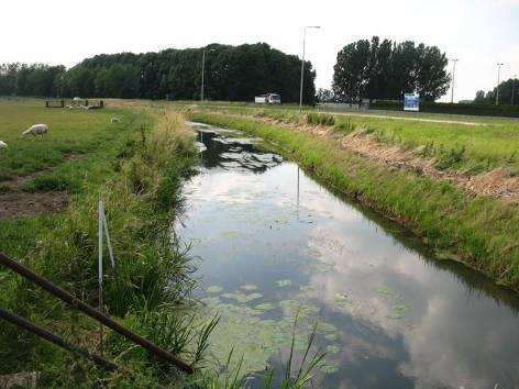 In droge periodes wordt door het gemaal bij Poederoijensehoek water ingelaten vanuit de Afgedamde Maas.