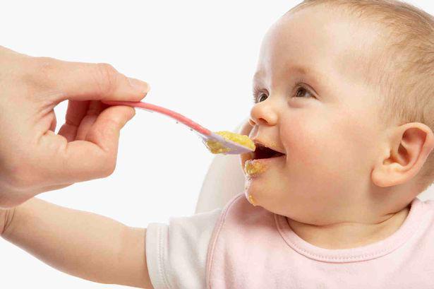 Koken voor baby s & kleine kinderen nieuw! Hoe maak je een makkelijke, snelle en gezonde maaltijd die in de smaak valt bij alle leeftijden? Hoe maak je je kinderen tot enthousiaste eters?