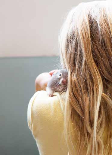 Theater: Slaapwel Frank met Tina Maerevoet en Mathias Vergels Rudi is dol op zijn hamster Frank. Als Frank op een ochtend niet meer wakker wordt, is Rudi s verdriet bijzonder groot.