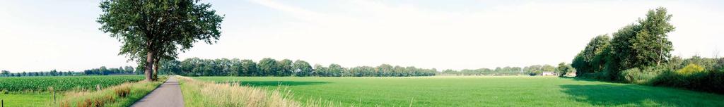 Velp, in het Noordoosten van Brabant, behoort tot de gemeente Grave.