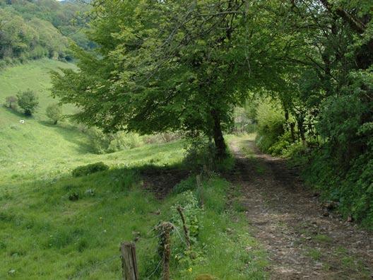 Overzicht wandelingen les Deux Morvans De