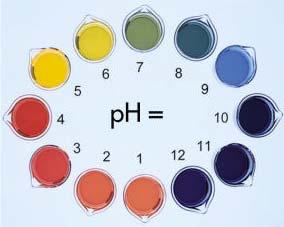 De ph van een oplossing kan op verschillende manieren worden gemeten, bijvoorbeeld met een ph meter maar ook met die verkleuren bij een bepaalde ph. Deze stoffen noemt men ph indicatoren.