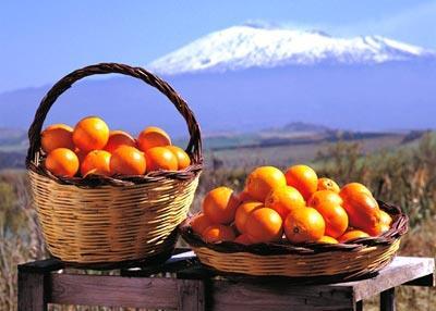 Fruit en goenten Om jullie de beste kwaliteit aan verse groenten en fruit aan te bieden, werken we uitsluitend met seizoensgebonden artikelen uit Italië.