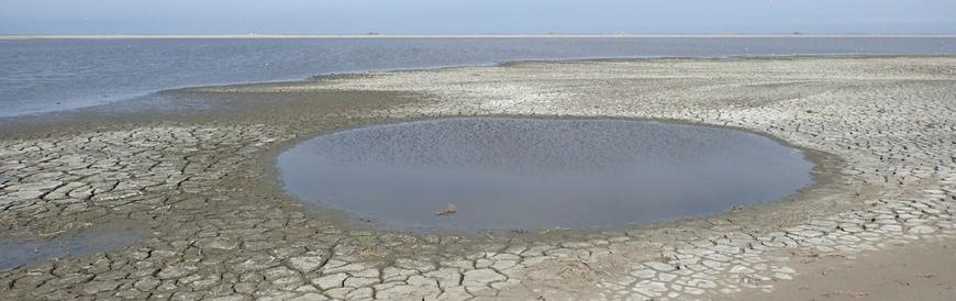 Marker Wadden: theorie in de praktijk Vanuit de lucht kun je ze bij helder weer zien liggen in het Markermeer: de Marker Wadden.