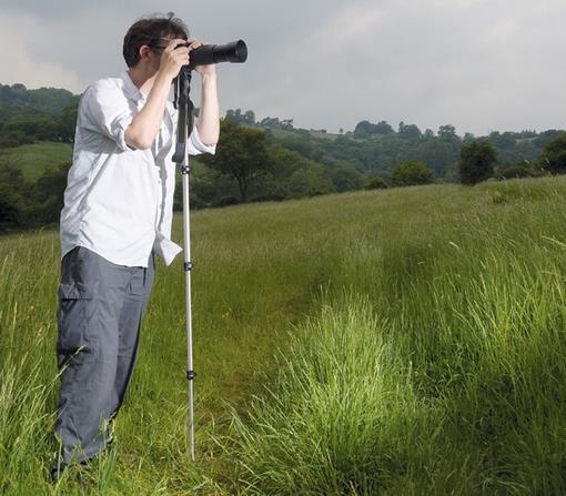 handleiding: Fotografiecursus Deel 8 zal minder stevig zijn als een statief dat goed is uitgerust voor jouw camera. Wat kun je zoal krijgen? Tafelstatief Om te beginnen het tafelstatief.