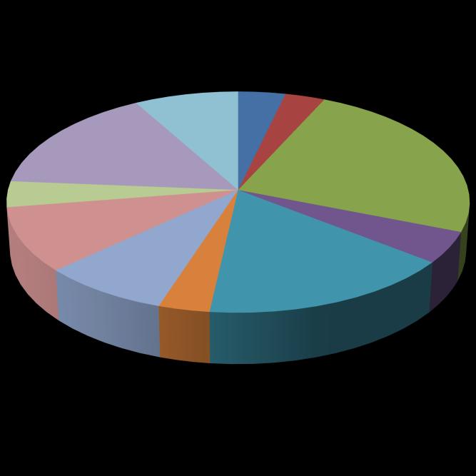 De uitgaven willen wij u tonen aan de hand van de volgende afbeelding. Hierin kunt u zien dat er een aantal grote kostenveroorzakers zijn.