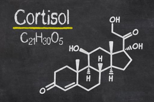 Oxytocine - Cortisol