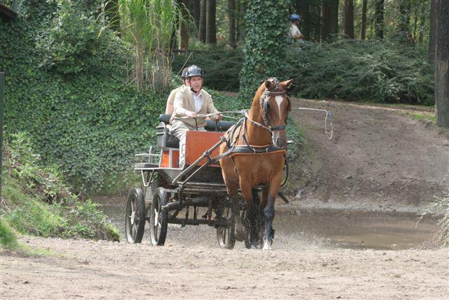 Herbie loopt geweldig en is weer even helemaal terug in zijn wedstrijdperiode. Hij wordt zo opgewonden van de brug en de waterpartij dat Jan hem bijna niet meer tot stilstaan krijgt.