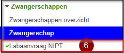 Na het selecteren van de zwangerschap verschijnt in de linker navigatie een overzicht van de verschillende zogenaamde zorgonderdelen