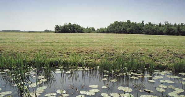 STROOMGEBIEDSBEHEERPLANNEN Water overschrijdt grenzen: gemeentelijke, provinciale en landelijke grenzen. Voor goed waterbeheer is het noodzakelijk dat we over onze grenzen heenkijken en samenwerken.