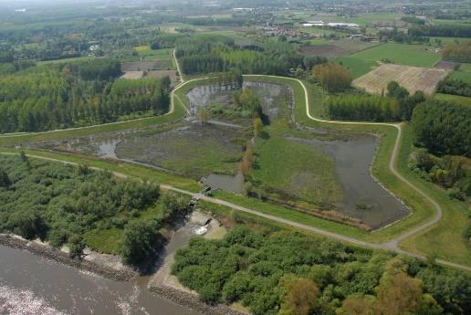 Zeeland 2050: - natuurlijke