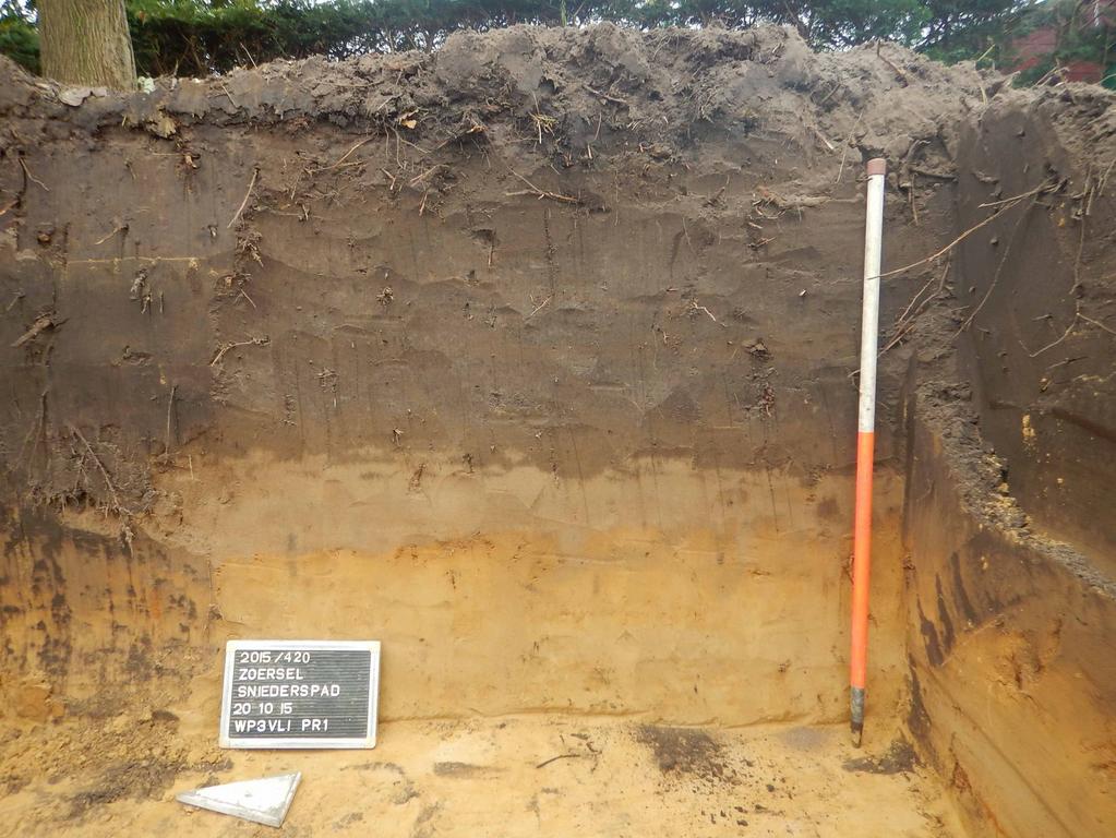 Rapporten All-Archeo 9 Varianten van deze zandbodem in de buurt van het projectgebied zijn bodems met bodemserie Zbp(o), Zbpy en Zcm(g).