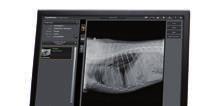 UD-Vet is exclusief distributeur van Carestream (voorheen Kodak), één van de wereldwijde marktleiders op het gebied van digitale röntgensystemen.