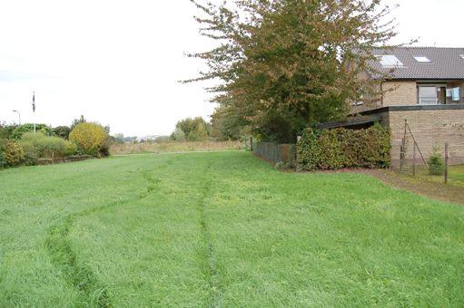 Wandelpad aan zuidzijde nieuw natuurgebied Nieuw natuurgebied met blaarkoppen Vegetatie/flora Het vegetatietype van het grasland betreft de Rompgemeenschap van Ruw beemdgras en Engels raaigras binnen