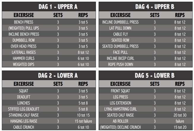 2. Upper/Lower Routine Wanneer je vier keer in de week wilt gaan trainen is het verstandig om een Upper/Lower schema aan te houden zoals hieronder weergegeven.