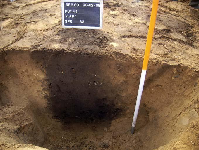 42 Elst het Bosje Figuur 5.7 Silo-kuil S44.83 binnen sporencluster 2. waarvan er twee ontbreken in de westelijke rij. De diepte van de staanders varieert van 7 tot 45 cm.