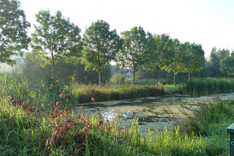 Het ontwerp van het gebied refereert aan de periode van de vervening door de langgerekte waterpartijen, afgewisseld door landstroken met opgaande beplanting.