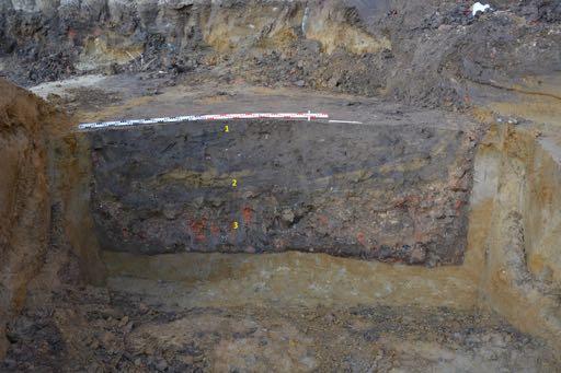 HetarcheologischonderzoekaandeVekestraatteAntwerpen Nettenzuidwestenvandezekuilbevondzicheenrechthoekige(3,10x2,56m)kuil(S73)meteen rechthoekig, 1,10 m diep bewaard profiel met drie lagen.