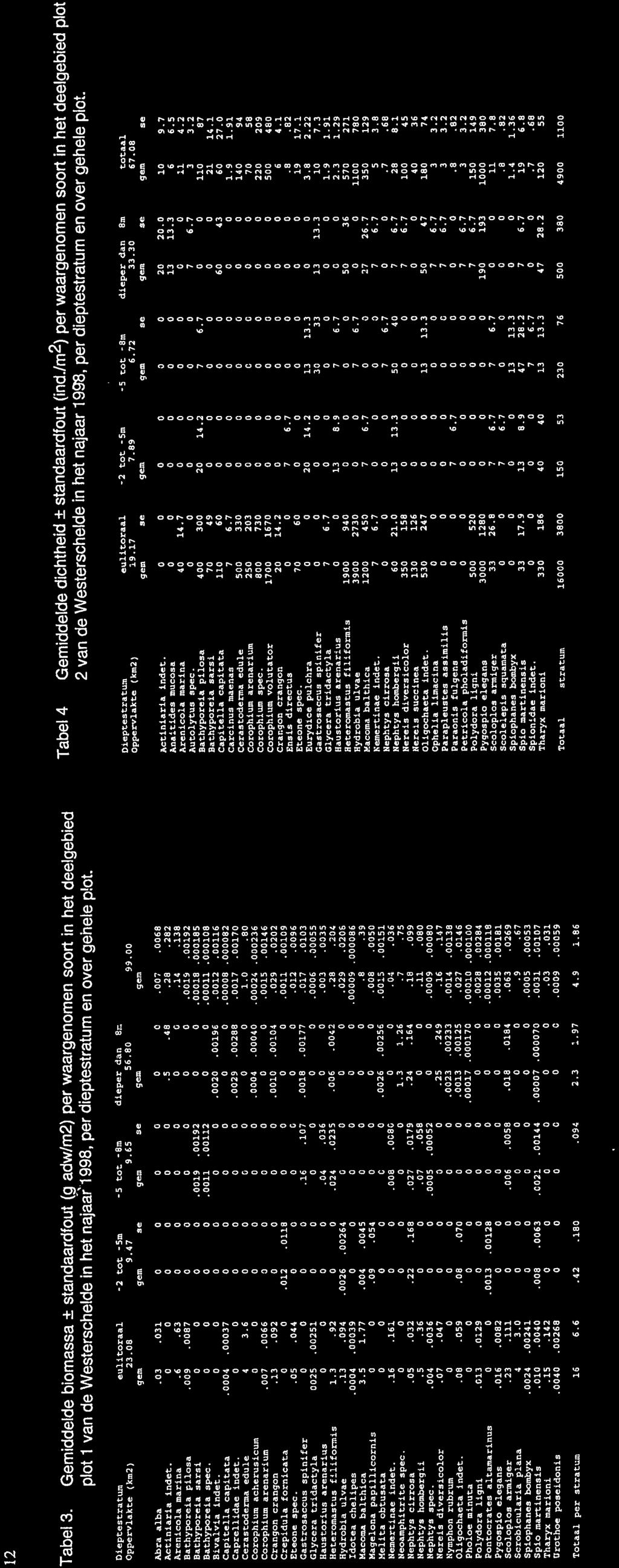 Tabel 3. Gemiddelde biomassa F standaardfout (g adwim2) per waargenomen soort in het deelgebied plot 1 van de Westerschelde in het najaai1998, per dieptestratum en over geilele p!ot. Tabel 4 Gemiddelde dichtheid * standaardfout (ind.