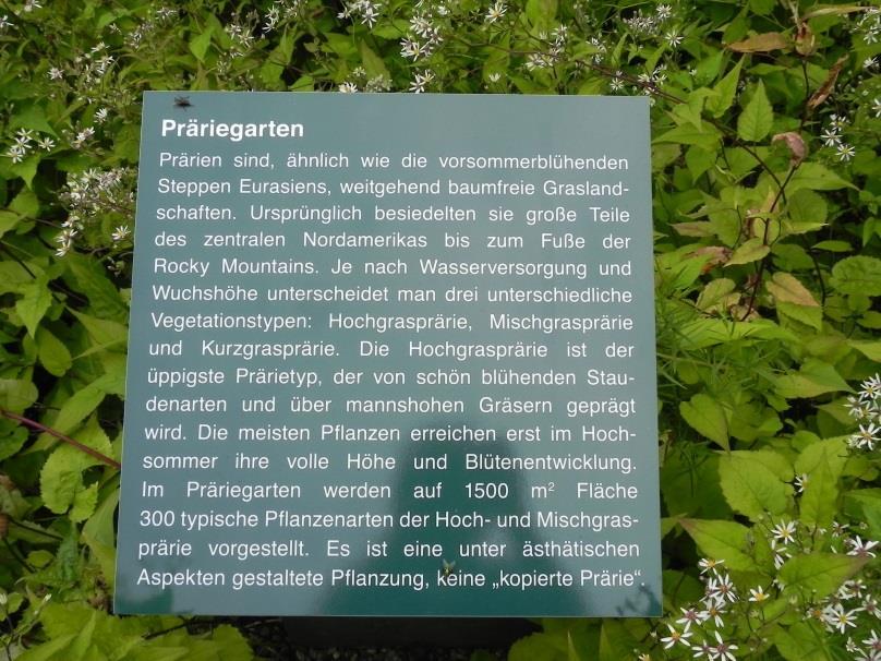 5 Fijn te zien dat ook in ons buurland Duitsland steeds meer geïnvesteerd wordt in tuin- en plantenontwikkeling, daar kunnen ook wij weer van leren.