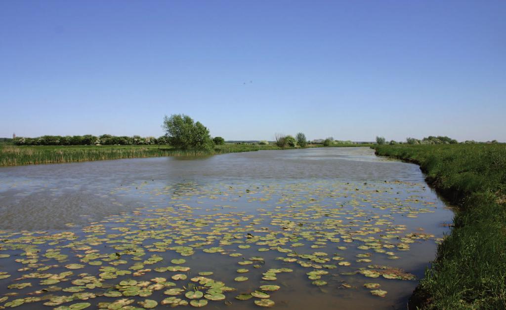 2d. Rijkswaterstaat: faseren en afstemmen Veel maatregelen worden gerealiseerd in samenhang met Ruimte voor de Rivier, onder andere in de vorm van kwel- en nevengeulen.