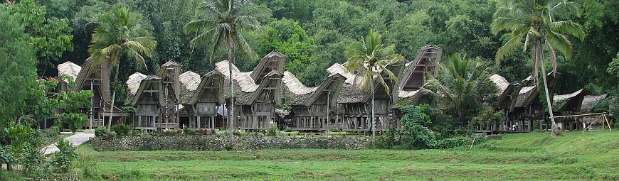 REISPROGRAMMA Dag 1, zaterdag 14 oktober. Vlucht van Amsterdam naar Makassar op Zuid-Sulawesi. Dag 2, zondag 15 oktober. Aankomst in Makassar, de hoofdstad van Sulawesi.