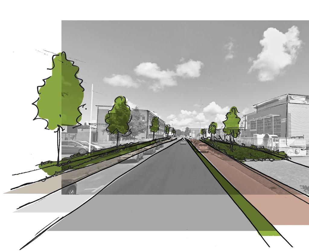 straatprofiel Atoomweg Groenstroken Wintergroene structuur met kleurrijke accentvakken op de kruispunten waar mogelijk toepassen van bomenrijen zodat er ruimtelijke structuur ontstaat Troittoir