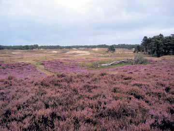 Bovendien krijg je hier een flinke brok informatie over het bergingsproject: Communicatieparcours: het communicatiecentrum met themapark, een centrumplein met toeristisch infopunt, een eetcafé,