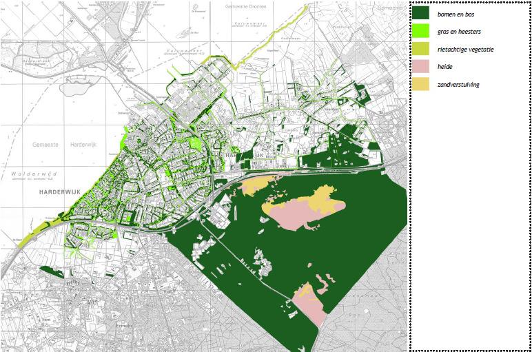 Kaart 10: Openbaar groen in Harderwijk (Handboek Harderwijks groen) Het openbaar groen bestaat vooral uit groenstroken langs de (hoofd)infrastructuur.