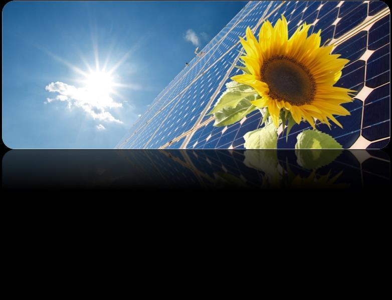 Solar Green Point is voor iedereen Het Solar Green Point is voor iedere inwoner van Nederland maar met name voor particulieren, bedrijven en instellingen die graag zonnestroom willen opwekken maar
