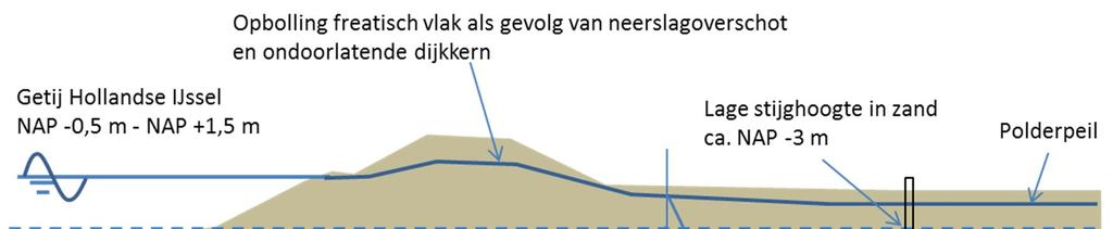 Binnendijks wordt in de huidige situatie gestreefd naar de volgende polderpeilen: Profiel 1 26.