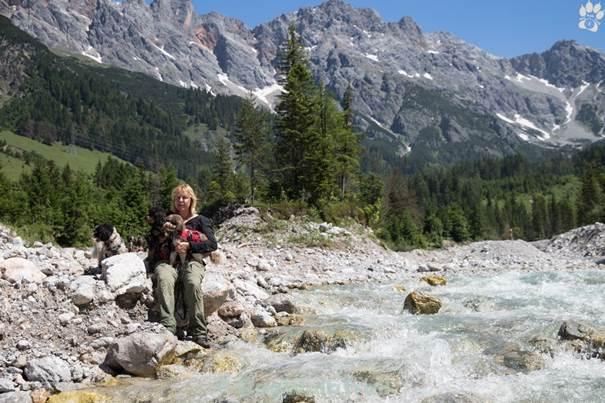 Inclusief: 7 overnachtingen, alle maaltijden vanaf zondagochtend t/m zaterdagochtend, 4 (coach)wandelingen met DogWalkTrail gids, 1x avondprogramma, coaching Nog 2 plaatsen beschikbaar! http://www.