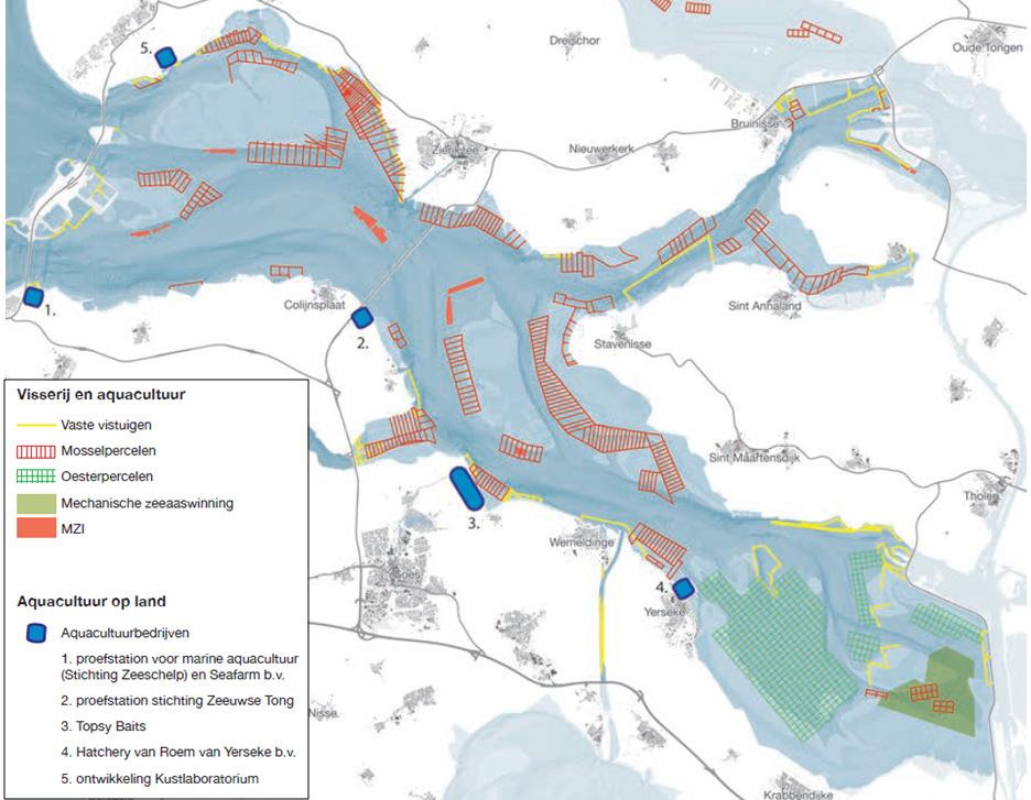 veenbodem aanwijsbaar: 1). Een klein gebied ten westen van de munitie stortplaats voor de haveningang van het kanaal naar Zierikzee, 2). Een gebiedje ten Noordwesten van Philipsland, 3).