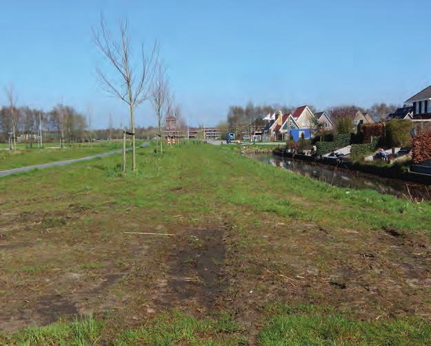 Ook kan die bovenste 10 centimeter worden gefreesd, waarna de losgefreesde grond met wortels en vegetatie wordt verzameld. Dit alles moet worden afgevoerd.