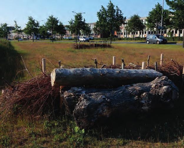 lijke struiken zoals wilgen, sporkehout, sleedoorn en meidoorn.