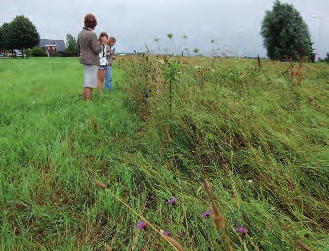 Maaisel afvoeren Hoe rijker de bodem (veel meststoffen), hoe meer het gras het naar de zin heeft.