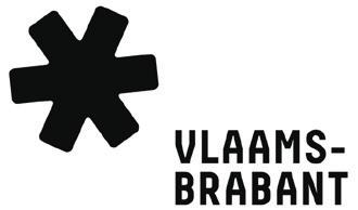 De Vlaamse Regering startte op 28 januari 2011 het proces dat moet leiden tot de vaststelling van het Beleidsplan Ruimte Vlaanderen (BRV) 10.