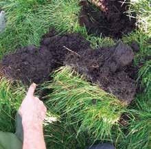 de natuurlijke kennisbron Bodemkwaliteit op veengrond In het project Bodemindicatoren voor duurzaam bodemgebruik in de veenweidenweiden (Fase II) is het effect van drie praktijkmaatregelen (ruige