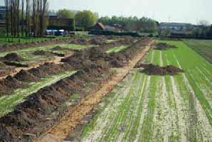 278,50 Ledegem Toor proefsleuvenonderzoek 4.915,63 Oostrozebeke De Gouden Appel vervolgonderzoek 52.707,36 Roeselare Glastuinbouwzone proefsleuvenonderzoek 11.